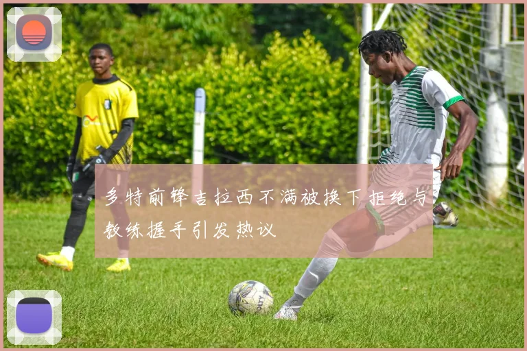 多特前锋吉拉西不满被换下拒绝与教练握手引发热议