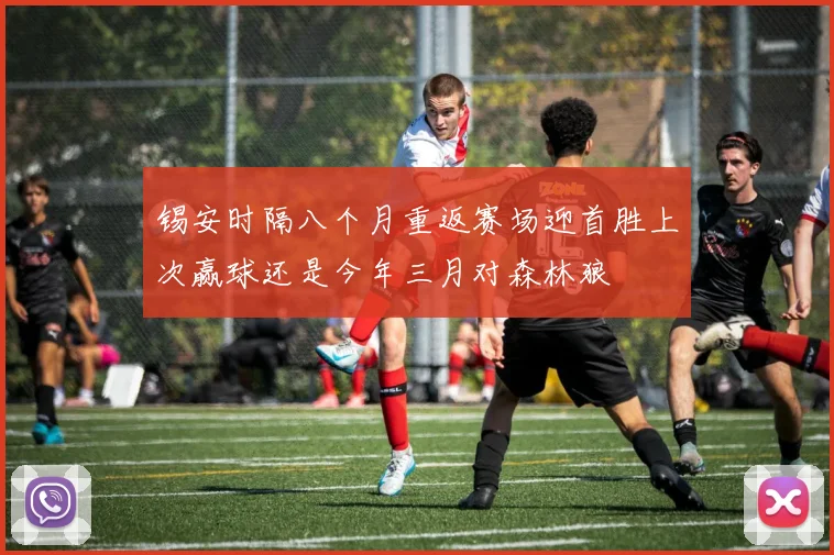 锡安时隔八个月重返赛场迎首胜上次赢球还是今年三月对森林狼