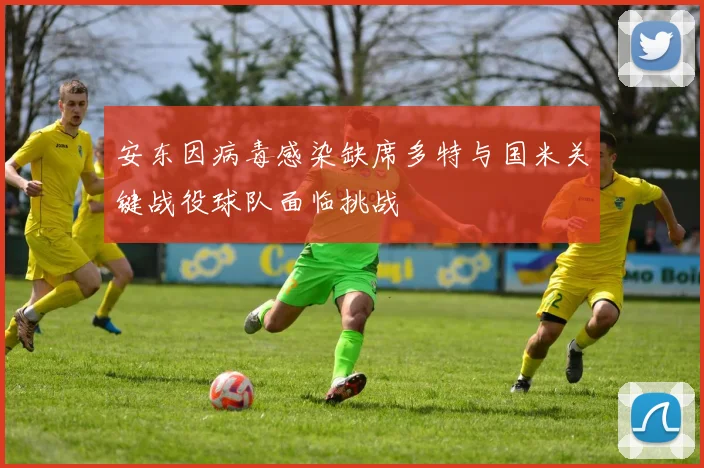 安东因病毒感染缺席多特与国米关键战役球队面临挑战
