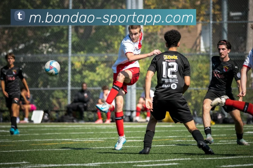 半岛足球体育平台生态图