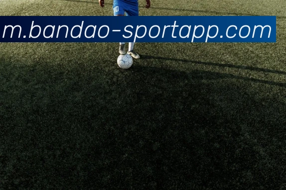 半岛足球体育全站App